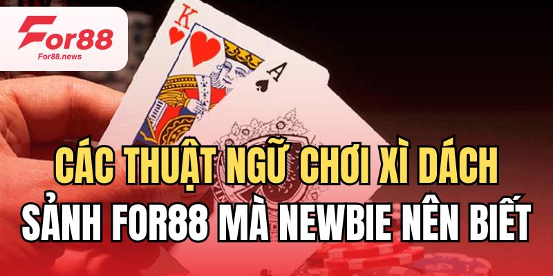 Các thuật ngữ chơi xì dách sảnh for88